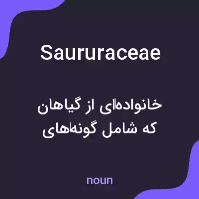 معنی saururaceae به فارسی معنی saururaceae به فارسی