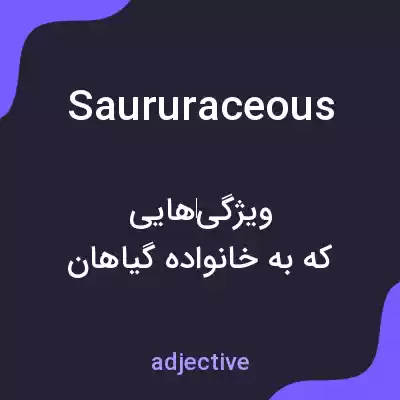 معنی saururaceous به فارسی معنی saururaceous به فارسی