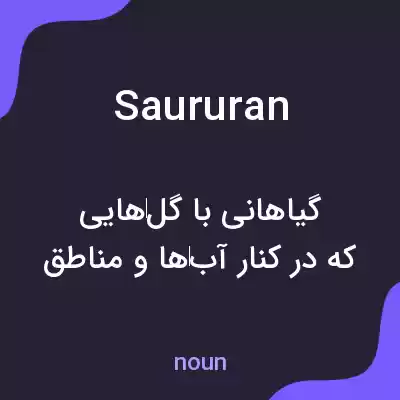 معنی saururan به فارسی معنی saururan به فارسی