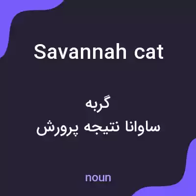معنی savannah cat به فارسی معنی savannah cat به فارسی