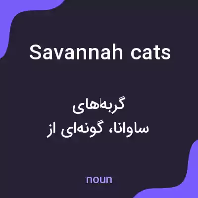 معنی savannah cats به فارسی معنی savannah cats به فارسی