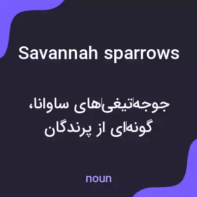 معنی savannah sparrows به فارسی معنی savannah sparrows به فارسی