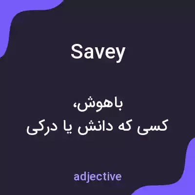 معنی savey به فارسی معنی savey به فارسی