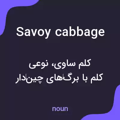 معنی savoy cabbage به فارسی معنی savoy cabbage به فارسی