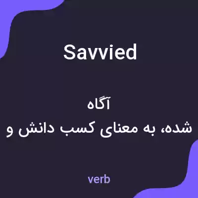 معنی savvied به فارسی