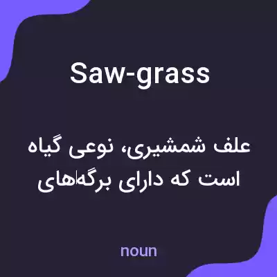 معنی saw-grass به فارسی معنی saw-grass به فارسی