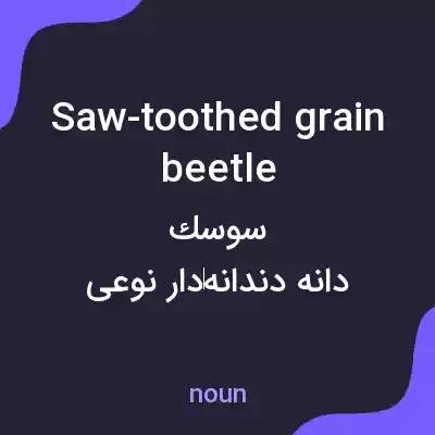 معنی saw-toothed grain beetle به فارسی