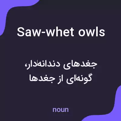معنی saw-whet owls به فارسی معنی saw-whet owls به فارسی