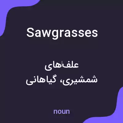 معنی sawgrasses به فارسی معنی sawgrasses به فارسی