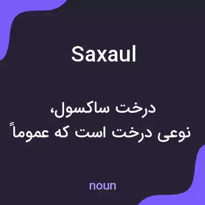 معنی saxaul به فارسی معنی saxaul به فارسی
