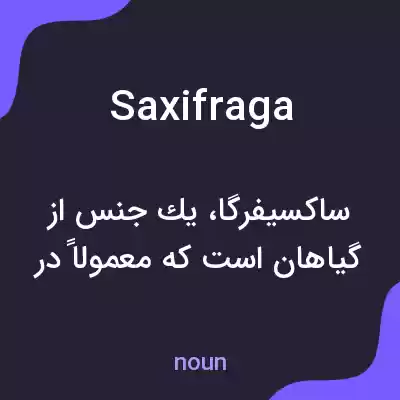 معنی saxifraga به فارسی معنی saxifraga به فارسی