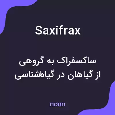 معنی saxifrax به فارسی معنی saxifrax به فارسی