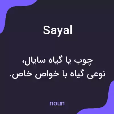 معنی sayal به فارسی معنی sayal به فارسی