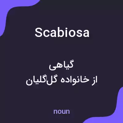 معنی scabiosa به فارسی معنی scabiosa به فارسی