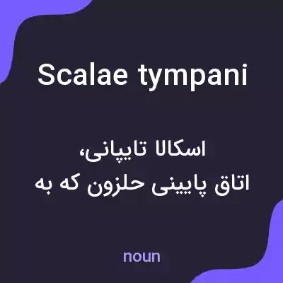 معنی scalae tympani به فارسی معنی scalae tympani به فارسی