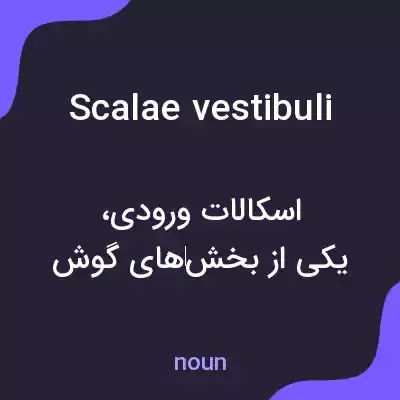 معنی scalae vestibuli به فارسی معنی scalae vestibuli به فارسی