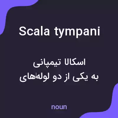 معنی scala tympani به فارسی معنی scala tympani به فارسی