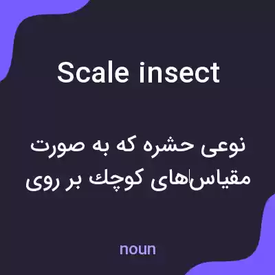 معنی scale insect به فارسی معنی scale insect به فارسی