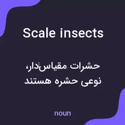 معنی scale insects به فارسی معنی scale insects به فارسی