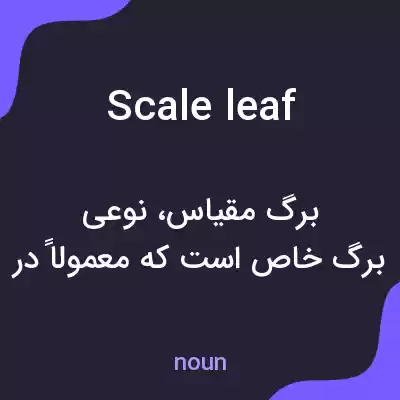 معنی scale leaf به فارسی معنی scale leaf به فارسی