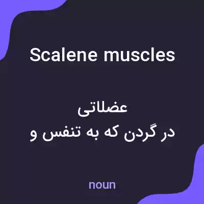 معنی scalene muscles به فارسی معنی scalene muscles به فارسی