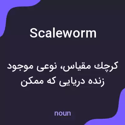 معنی scale worm به فارسی