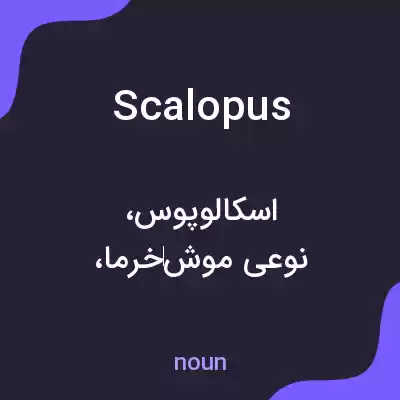 معنی scalopus به فارسی معنی scalopus به فارسی
