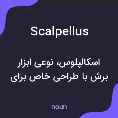 معنی scalpellus به فارسی معنی scalpellus به فارسی