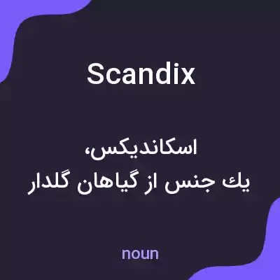 معنی scandix به فارسی معنی scandix به فارسی