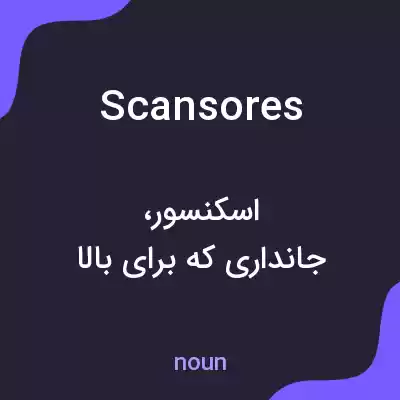 معنی scansores به فارسی معنی scansores به فارسی