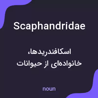 معنی scaphandridae به فارسی معنی scaphandridae به فارسی