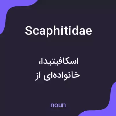 معنی scaphitidae به فارسی معنی scaphitidae به فارسی