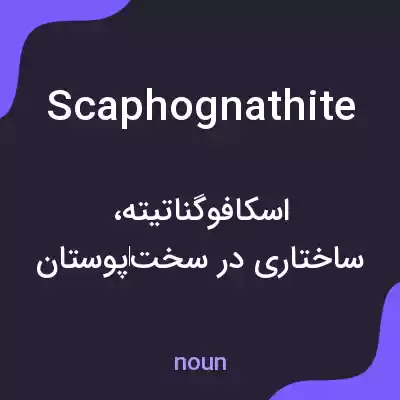 معنی scaphognathite به فارسی معنی scaphognathite به فارسی