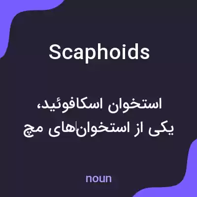 معنی scaphoids به فارسی معنی scaphoids به فارسی