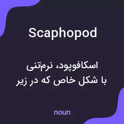معنی scaphopod به فارسی معنی scaphopod به فارسی