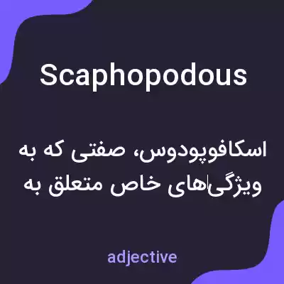 معنی scaphopodous به فارسی معنی scaphopodous به فارسی