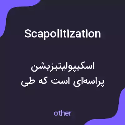 معنی scapolitization به فارسی معنی scapolitization به فارسی