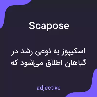 معنی scapose به فارسی معنی scapose به فارسی