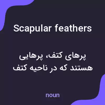 معنی scapular feathers به فارسی معنی scapular feathers به فارسی