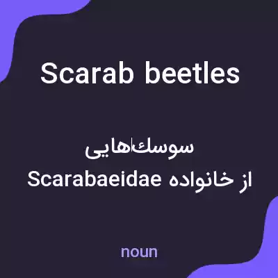 معنی scarab beetles به فارسی معنی scarab beetles به فارسی