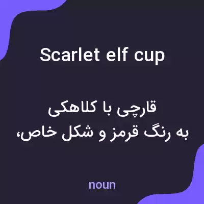 معنی scarlet elf cup به فارسی معنی scarlet elf cup به فارسی
