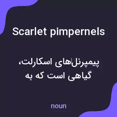 معنی scarlet pimpernels به فارسی معنی scarlet pimpernels به فارسی