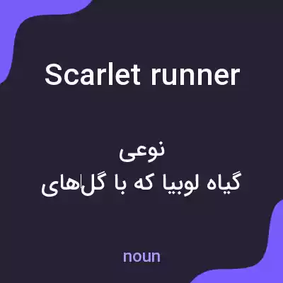 معنی scarlet runner به فارسی معنی scarlet runner به فارسی