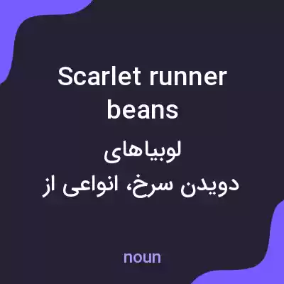 معنی scarlet runner beans به فارسی معنی scarlet runner beans به فارسی