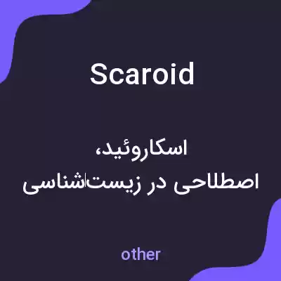 معنی scaroid به فارسی معنی scaroid به فارسی