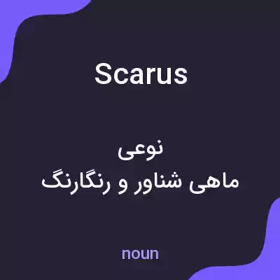 معنی scarus به فارسی معنی scarus به فارسی