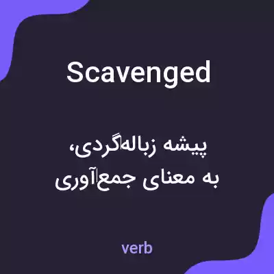 معنی scavenged به فارسی معنی scavenged به فارسی
