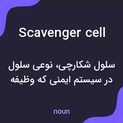 معنی scavenger cell به فارسی معنی scavenger cell به فارسی