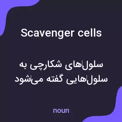 معنی scavenger cells به فارسی معنی scavenger cells به فارسی