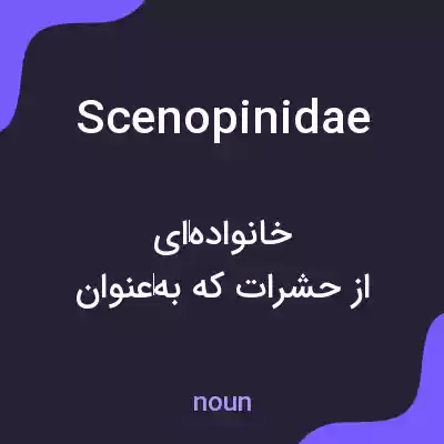 معنی scenopinidae به فارسی معنی scenopinidae به فارسی